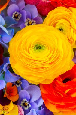 Ffesh çiçek arka plan