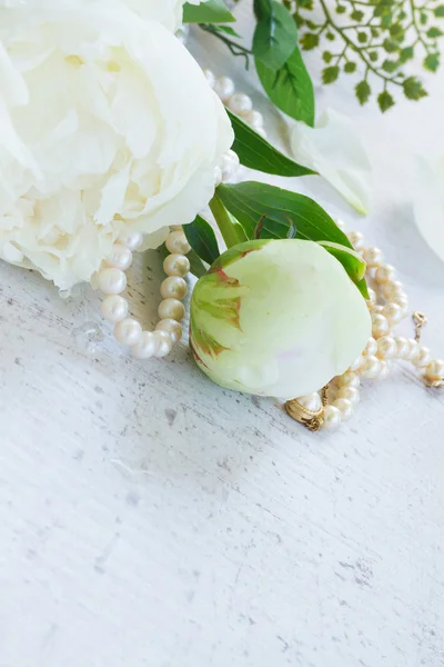 Λευκά άνθη παιώνιας — Φωτογραφία Αρχείου