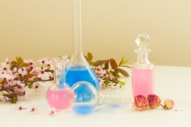 aromaterapi - kuru çiçekler ve iksirler