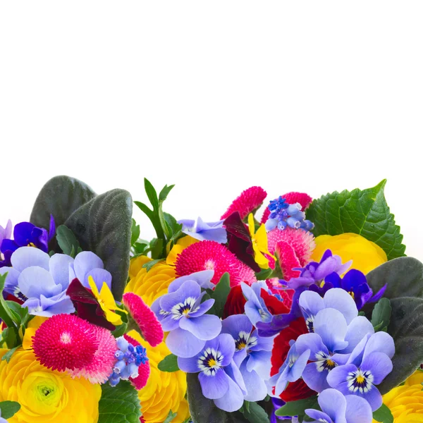 Posy de violetas, maricones y ranúnculos — Foto de Stock