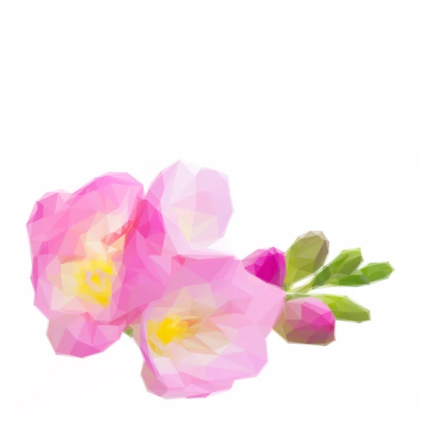 Färska fresia blommor — Stock vektor