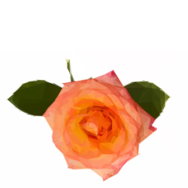 Orange Rose mit Blättern — Stockvektor