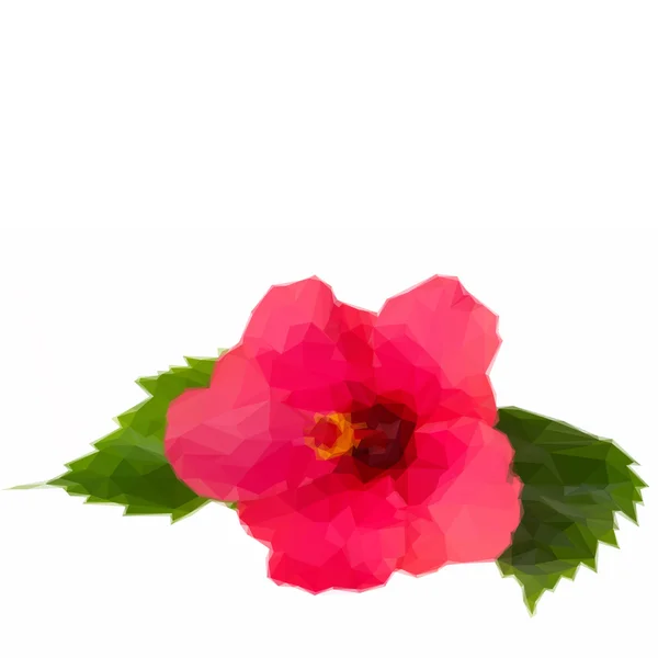 Färgglada röd hibiscus blomma — Stock vektor