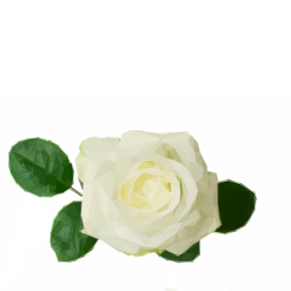 One white rose — Stock Vector