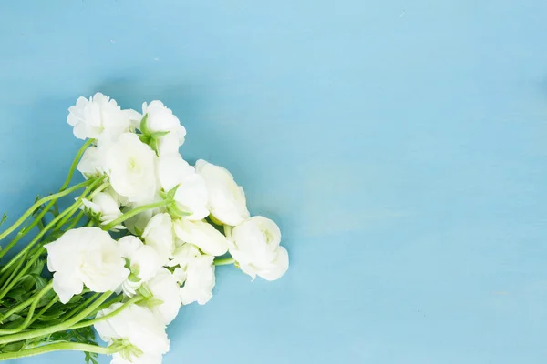 Flores de ranúnculo rosa e branco — Fotografia de Stock