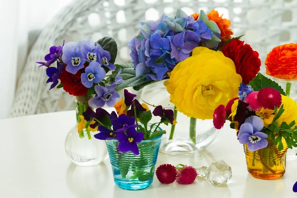Kolorowe kwiaty cięte — Zdjęcie stockowe