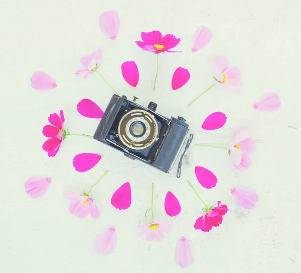 Câmera velha e flores — Fotografia de Stock