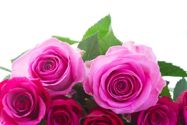 Buquê de rosas rosa frescas — Fotografia de Stock