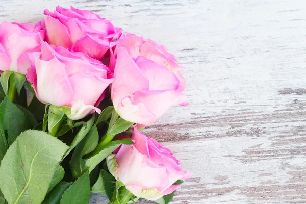 Pink fresh roses — Stock Photo, Image