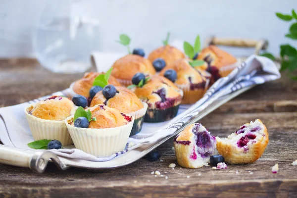 Cupcakes with blueberry — Stock Photo, Image