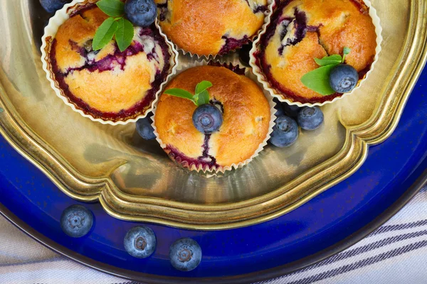 Cupcakes mit Blaubeeren — Stockfoto