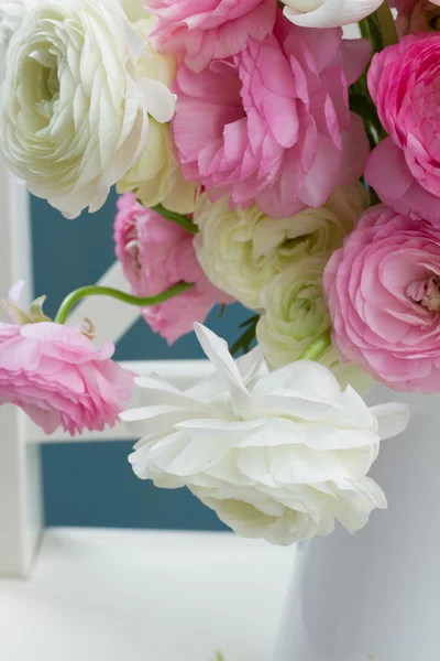 Fleurs de ranunculus roses et blanches — Photo