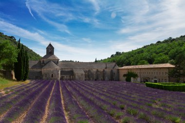 Abbey Senanque ve Lavanta tarlası, Fransa