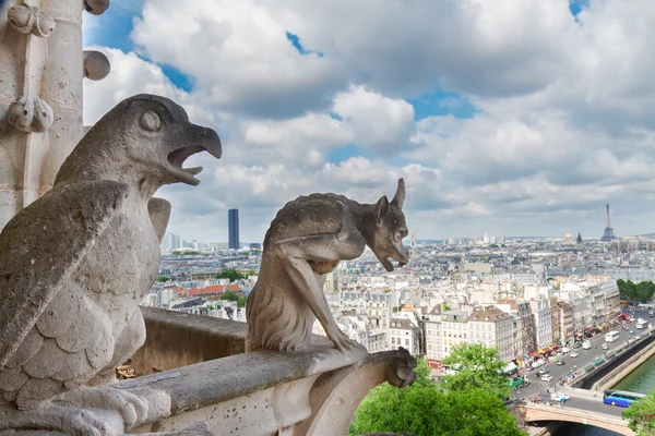 Gargoyle of Paris — Stock Photo, Image