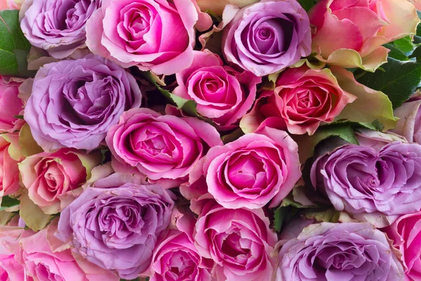 Bouquet di rose fresche — Foto Stock