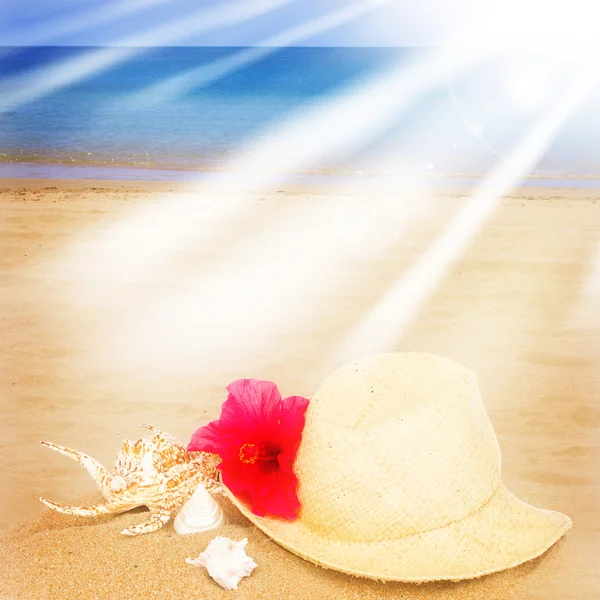 Chapéu de palha ans conchas na praia de areia — Fotografia de Stock
