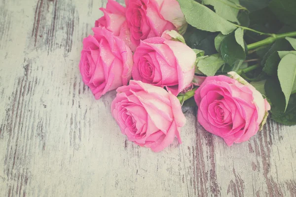 Розовые свежие розы — стоковое фото