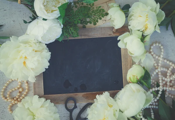 Weiße Pfingstrosenblüten — Stockfoto