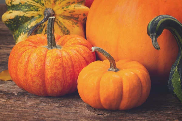 Calabaza en la mesa —  Fotos de Stock