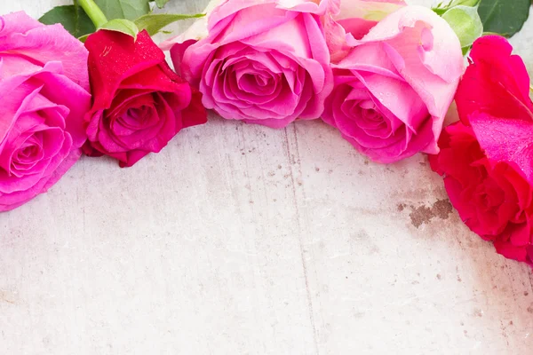 粉红色的新鲜玫瑰 — 图库照片