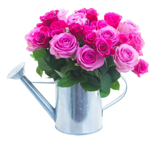 Strauß frischer rosa Rosen — Stockfoto