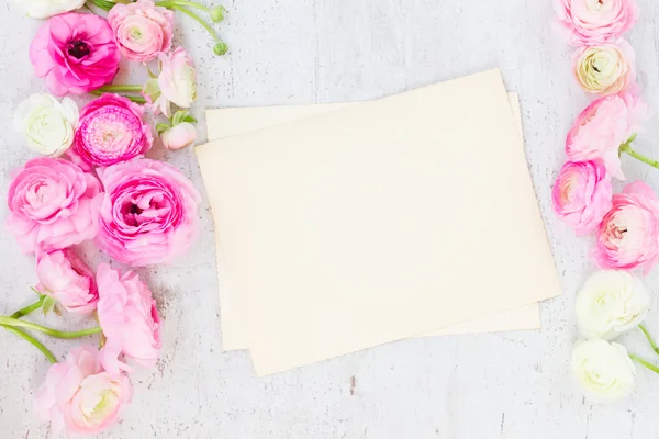 Flores de ranúnculo rosa e branco — Fotografia de Stock