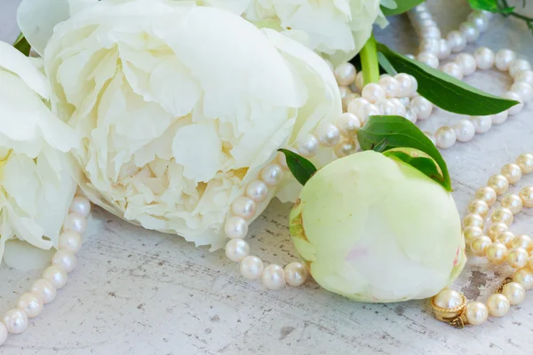Flores de peonía blanca — Foto de Stock