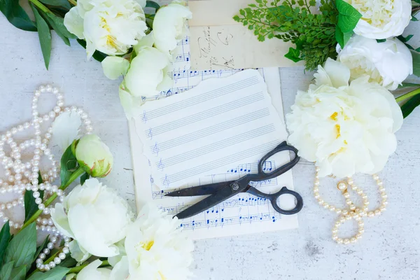 Weiße Pfingstrosenblüten — Stockfoto