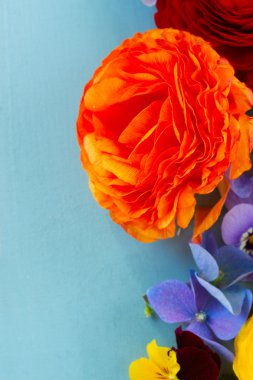 Ffesh çiçek arka plan