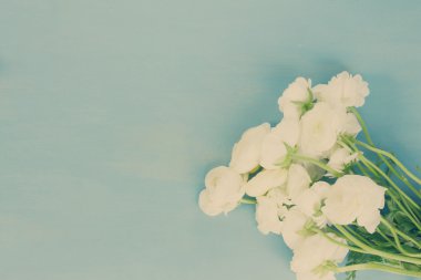 Pembe ve beyaz ranunculus çiçekleri