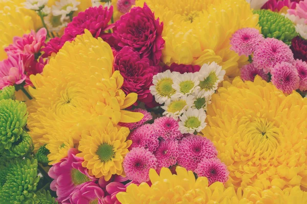 Um monte de flores de mãe — Fotografia de Stock