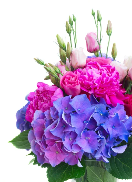 Bright pink and blue flowers — Stock Photo, Image