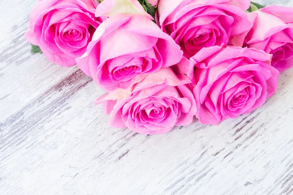 Pink fresh roses — Stock Photo, Image