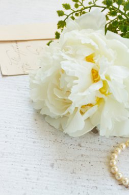 Beyaz şakayık çiçekleri