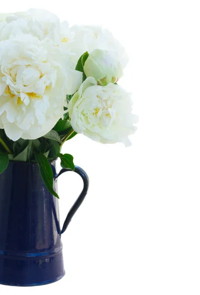 White peony flowers — Stock Photo, Image