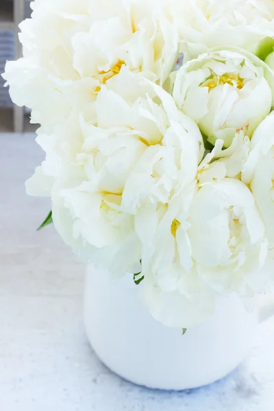 Flores de peonía blanca —  Fotos de Stock