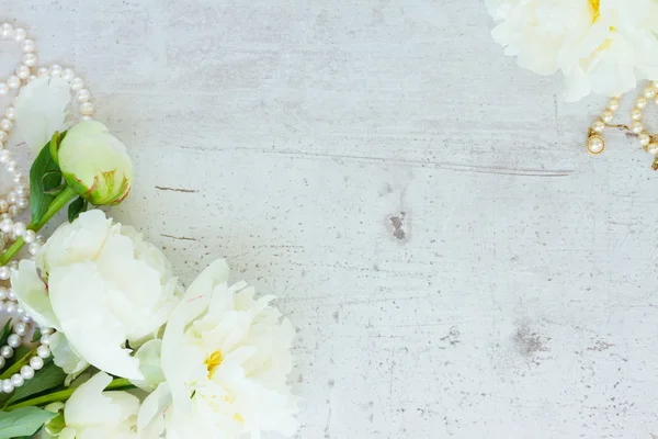 Weiße Pfingstrosenblüten — Stockfoto