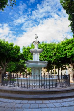 La Laguna, Tenerife Adası, İspanya