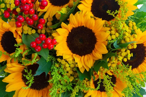 Girasoles con hojas verdes —  Fotos de Stock