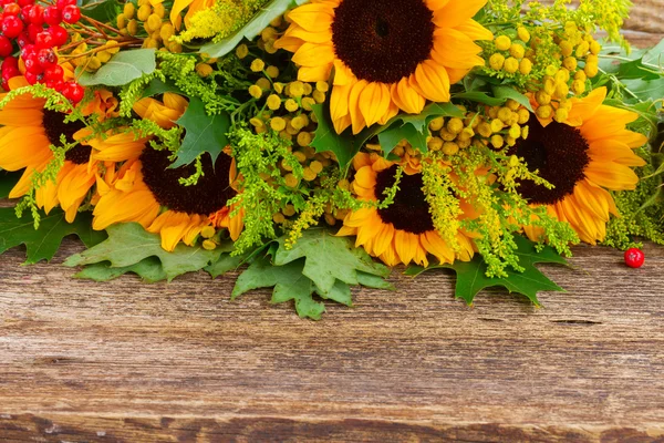 Girasoli con foglie verdi — Foto Stock