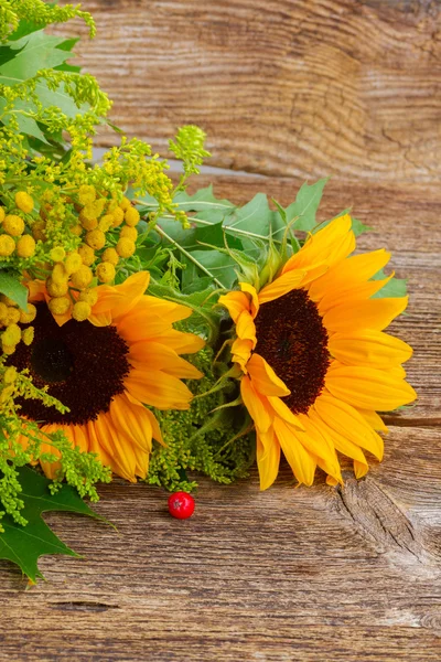 Tournesols aux feuilles vertes — Photo