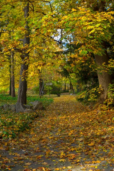 Caminho do parque de outono — Fotografia de Stock