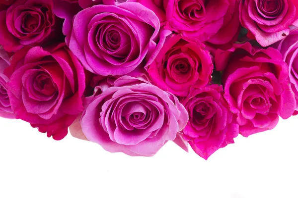 Bukett färska rosa rosor — Stockfoto