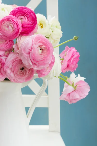 Fleurs de ranunculus roses et blanches — Photo