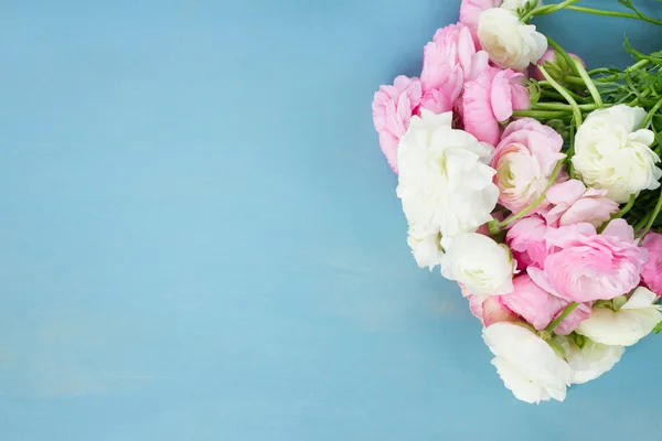 Flores de ranúnculo rosado y blanco — Foto de Stock