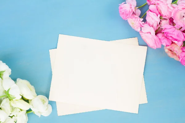 Flores de ranúnculo rosado y blanco —  Fotos de Stock