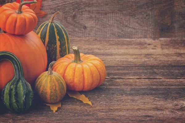 Calabaza en la mesa — Foto de Stock