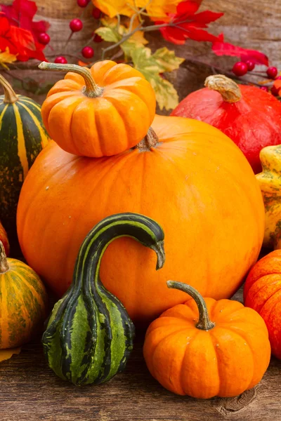 Pumpkin on table — Stock Photo, Image