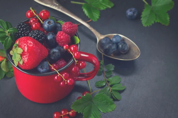 Set of  fresh berries — Stock Photo, Image