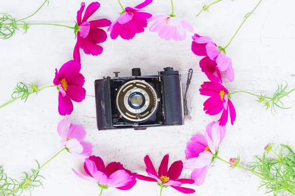 Vieille caméra et fleurs — Photo